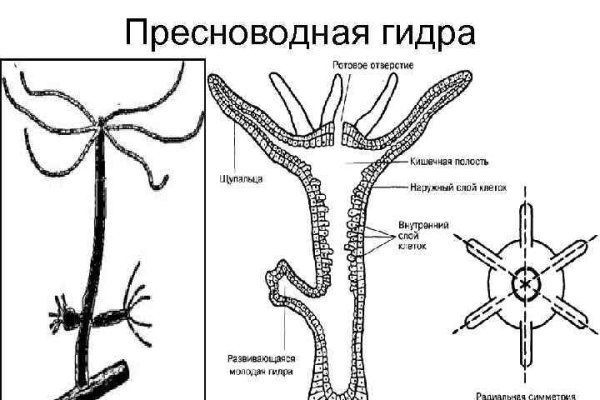 Короткая ссылка на омг