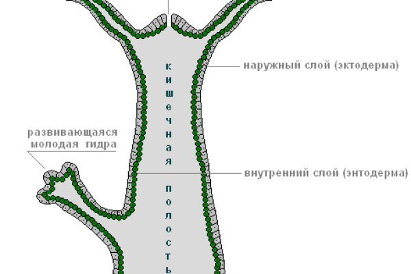 Ссылка на омгомг